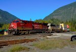 CP 8012